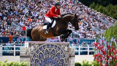 olympic-equestrians-are-jumping-over-literal-works-of-art—here-are-all-our-favorites